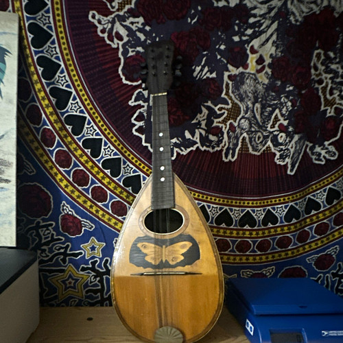 Vintage mandolin butterfly - mandolin,